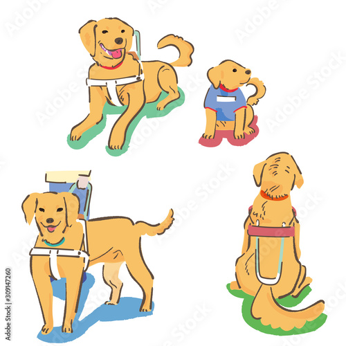 ラブラドールレドリバー　盲導犬　セット　イラスト