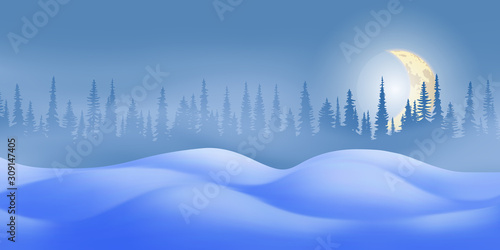 Fantasy on the theme of the winter landscape. Night, moon and forest. Vector illustration, EPS10