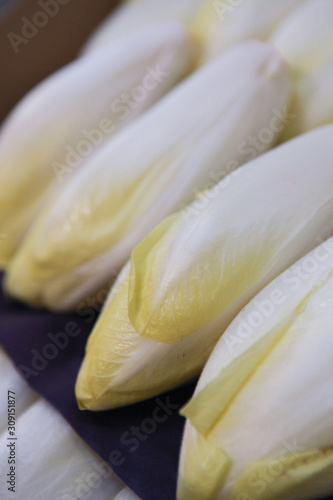 endive vrac