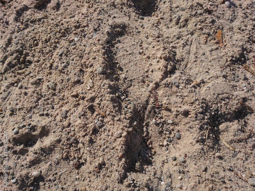 Footprints in the sand on holiday Footprints in the sand on holiday