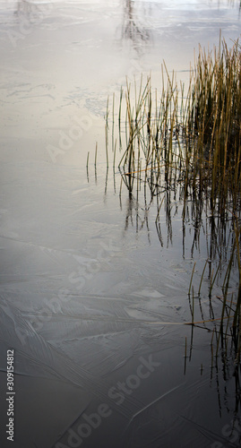 Ice formation on a lac surface, Aviemore, Scotland, United Kingdom.