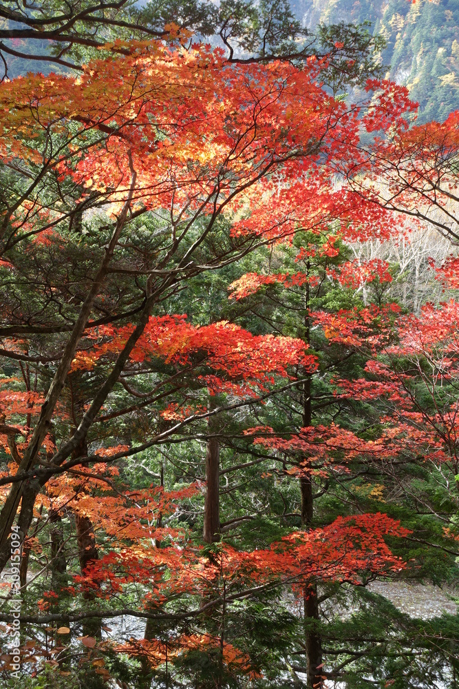 Landscape of Kamikochi trail (Japan alps / Japanese mountain) Landscape of Kamikochi trail (Japan alps / Japanese mountain)