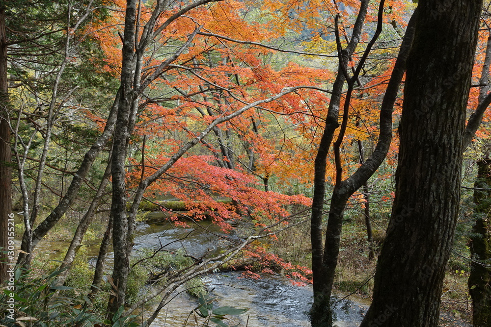 Landscape of Kamikochi trail (Japan alps / Japanese mountain) Landscape of Kamikochi trail (Japan alps / Japanese mountain)
