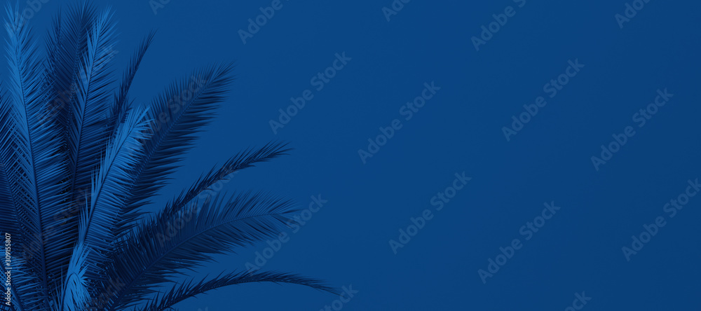 Unusual blue palm, Classic Blue color of the Year 2020, 3d illustration - obrazy, fototapety, plakaty 