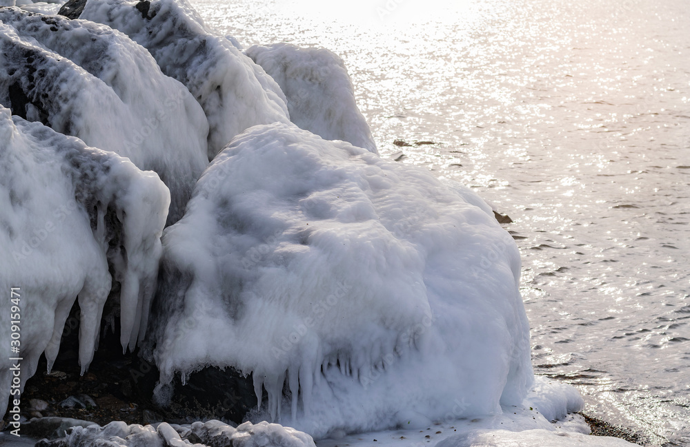frozen rocks and starfish on the shore of the cold sea frozen rocks and starfish on the shore of the cold sea