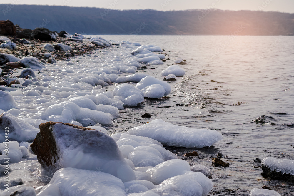 frozen rocks and starfish on the shore of the cold sea frozen rocks and starfish on the shore of the cold sea