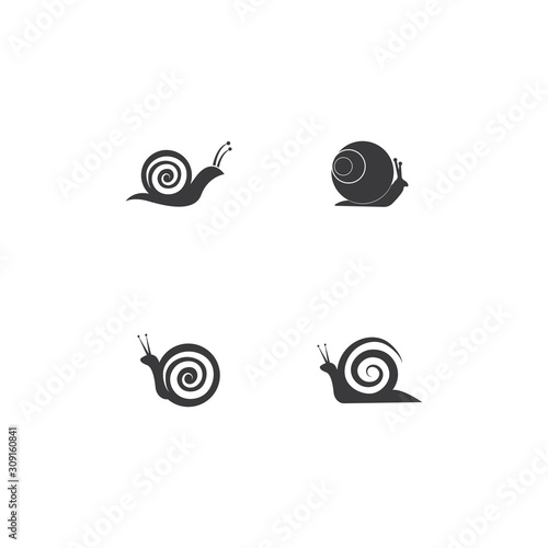 Snail logo vector illustration template