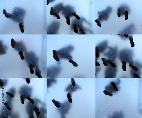 Feet of people who standing on translucent glass