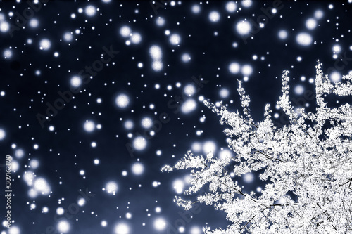 Photography Christmas, New Years black floral background, holiday card design, flower tree a