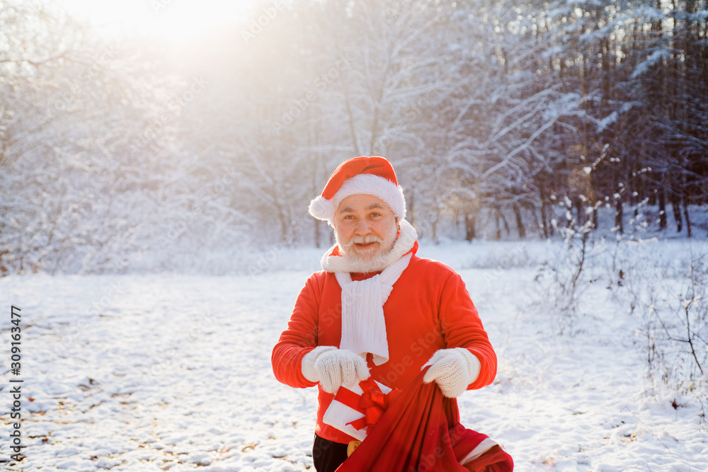 Obraz premium Thanksgiving day and Christmas. Merry Christmas and Happy New Year concept. Merry Christmas and Happy new year. Santa Claus with a huge bag.