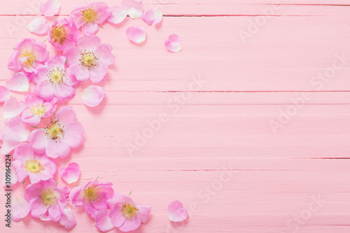 frame of pink roses on pink wooden background