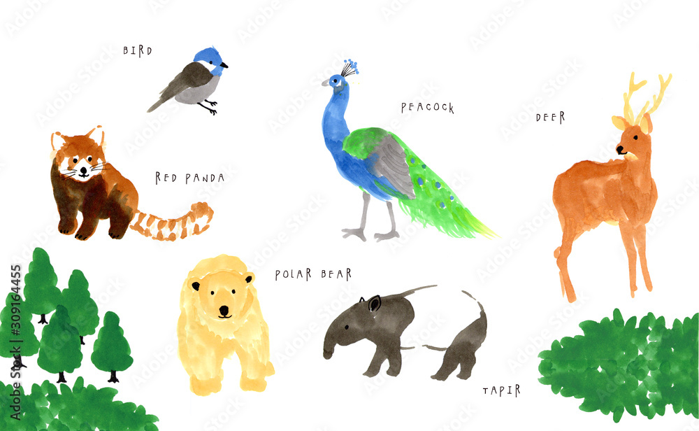 シンプルな動物の手書きイラスト バク シロクマ クジャク レッサーパンダ シカ 鳥 Stock Illustration Adobe Stock
