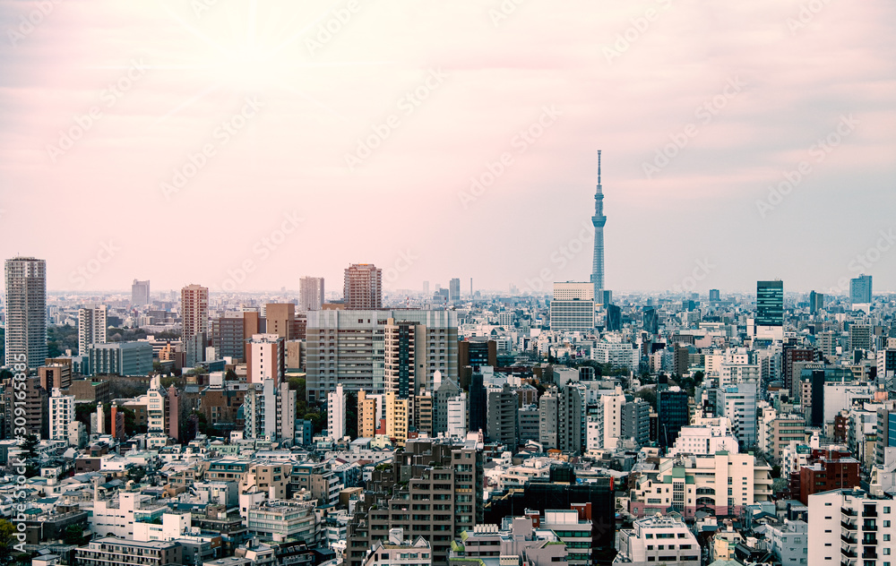 Fototapeta premium Tokyo skyscraper with Tokyo skytree in background in the morning