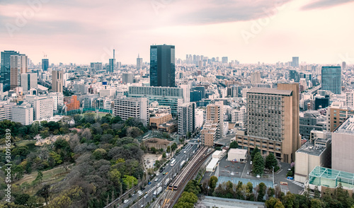 Tokyo cityscape view from Bunkyo civic center observation lounge , Tokyo , Japan © nithid18