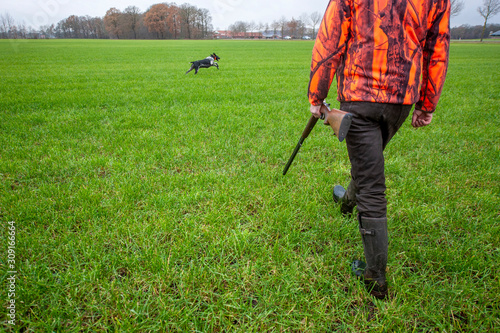 Hunting on hares and pheasants
