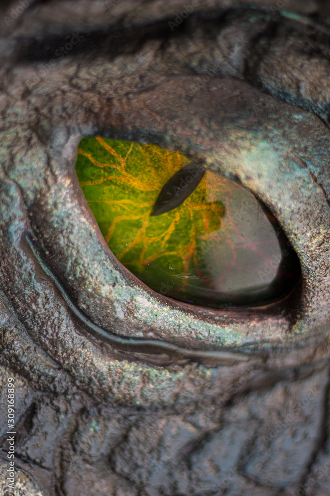 Obraz premium Green Dragons eye