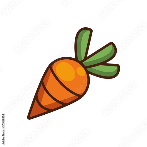 fresh carrot vegetable nature icon
