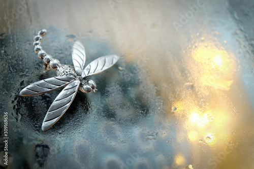 jewelry in the form of a dragonfly on abstract blurred background