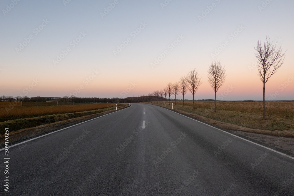 Straight road with trees without leafs on the side during a winter sunset in Germany