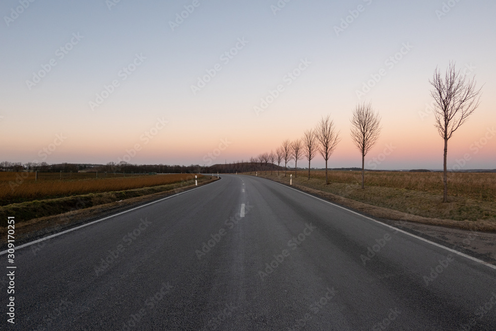 Straight road with trees without leafs on the side during a winter sunset in Germany Straight road with trees without leafs on the side during a winter sunset in Germany