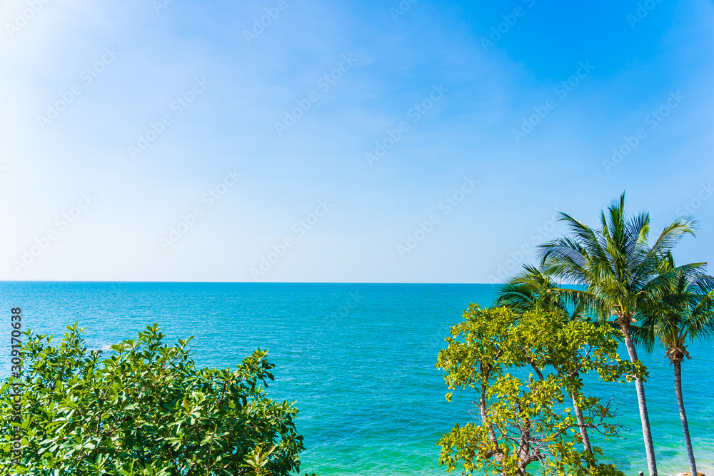 Beautiful coconut palm tree and leaf with sea ocean