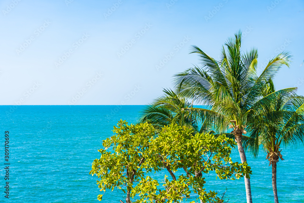 Beautiful coconut palm tree and leaf with sea ocean