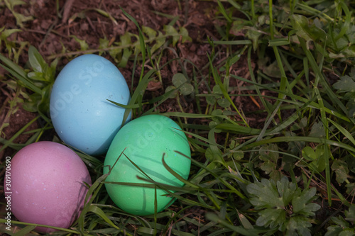 light blue green and purple dyed eggs