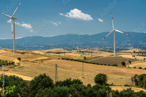 Summer landscape in Calabria, Italy, near Spezzano Albanese photo