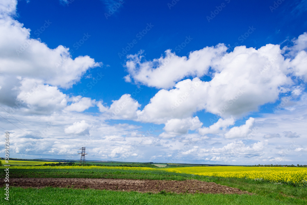 spring yellow field in the village and beautiful sky