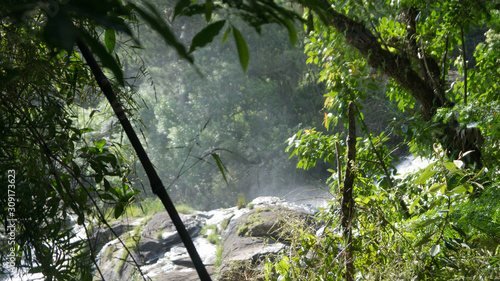 cachoeira no fundo da mata