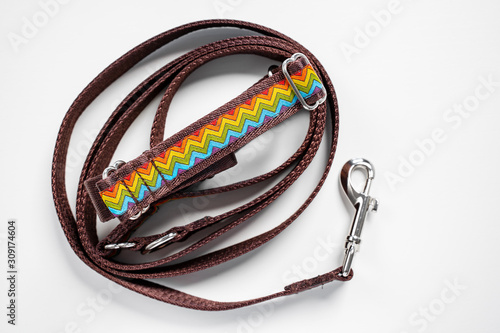 Colorful dog collar and leash from silky tape, one side is brown. Close up, white background, copy space. photo