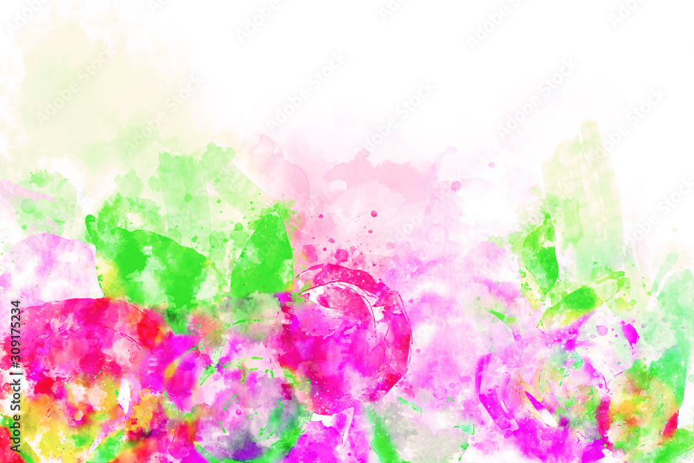 Abstract watercolor painting of pink roses with green leaves on white background