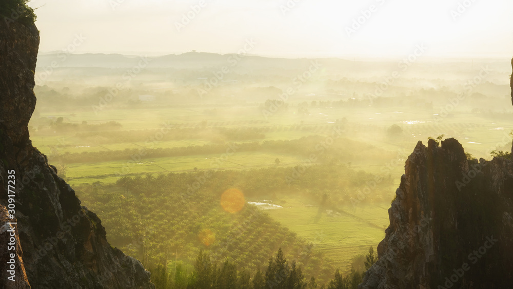 sunrise mountain view with green rice fields