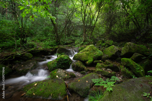 Fototapeta Naklejka Na Ścianę i Meble -  Valley full of moss on rocks with clear water