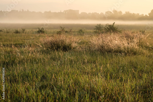 Dawn in a wild field. Beautiful landscape on sunrise