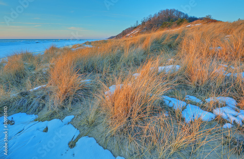Fototapeta Naklejka Na Ścianę i Meble -  Winter landscape beach grasses and iced shoreline of Lake Michigan, Saugatuck Dunes State Park, Michigan, USA