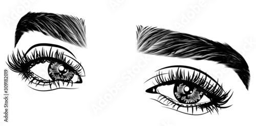 Illustration with woman's eyes, eyelashes and eyebrows. Realistic sexy makeup look. Tattoo design. Logo for brow bar or lash salon.