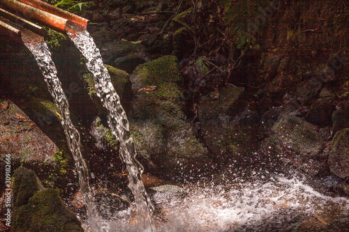 Stream inside the rain forest