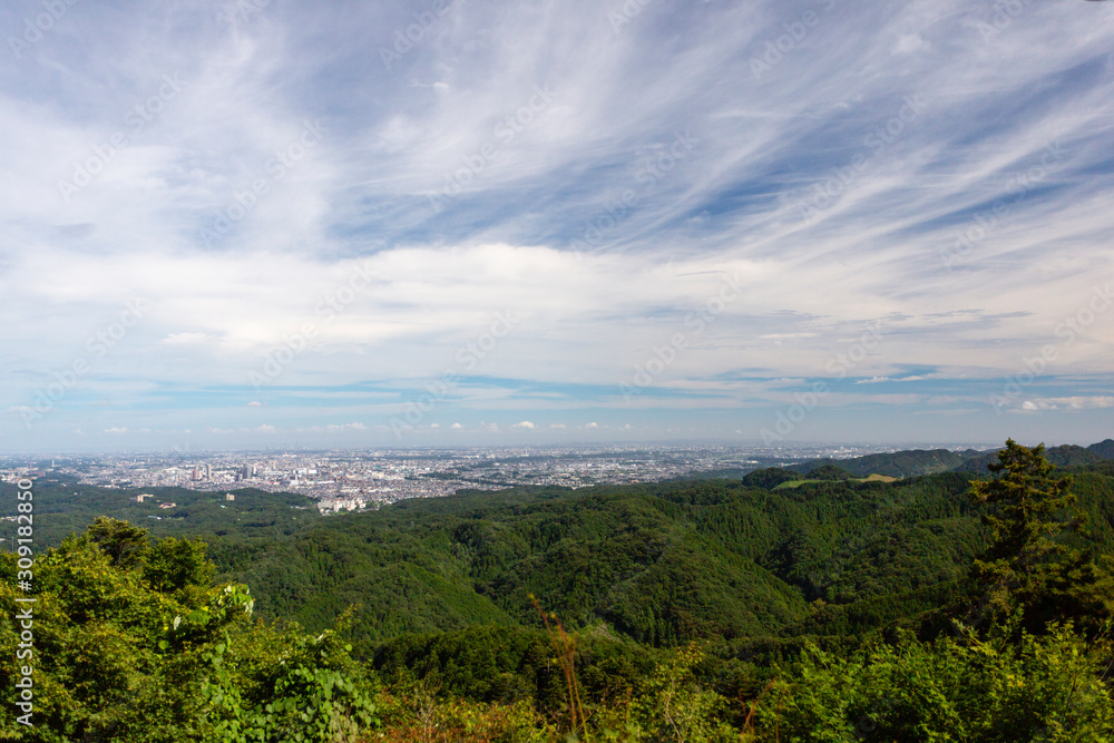 Fototapeta premium 高尾山からの風景#9