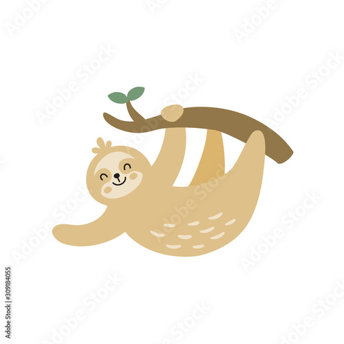 sloth
