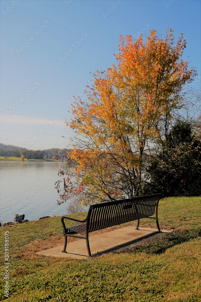 Lake Views Lake Views