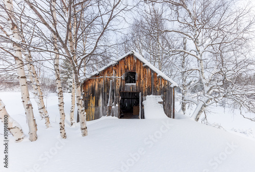 old wooden house in winter © SorbyPhoto