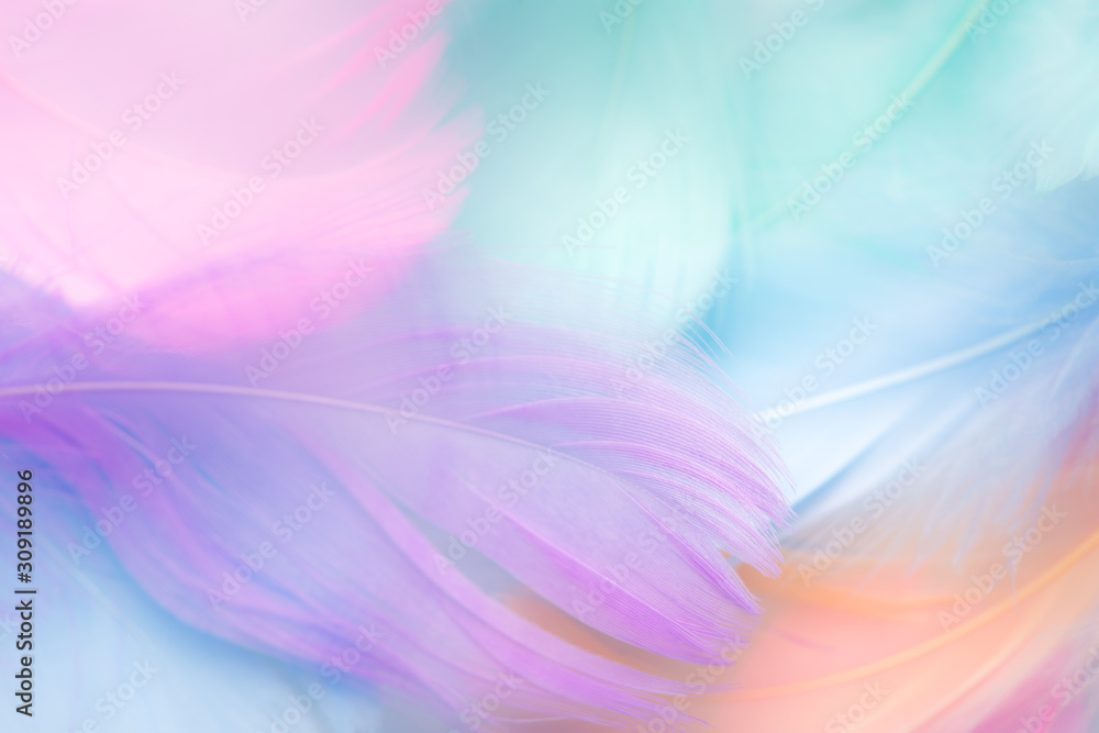 pastel colour feather abstract background - obrazy, fototapety, plakaty 