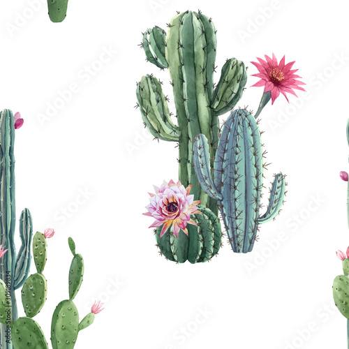 Beautiful vector watercolor cactus seamless pattern. Hand drawn stock illustrations. White background.