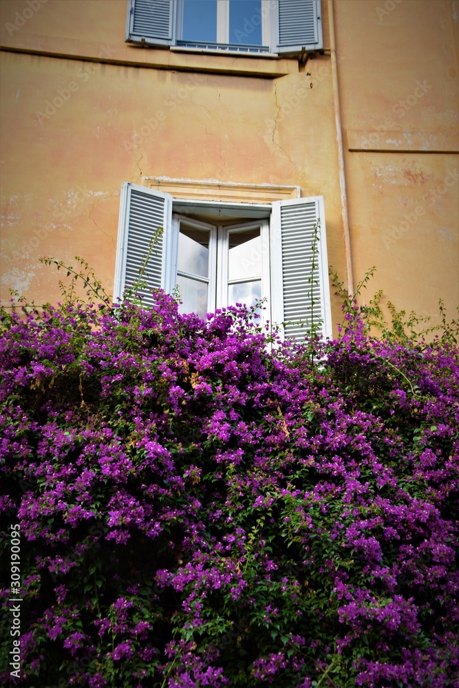 Flowered italian window