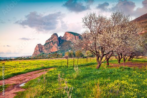 Calm morning view of blooming almond garden on San Vito cape. Stunning spring scene of Sicily, Timpone village location, Italy, Europe. photo