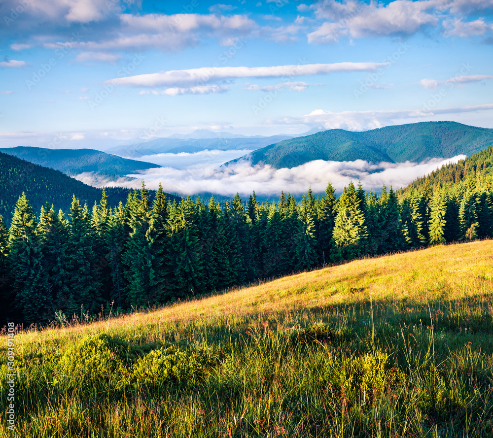 Stunning summer scene of Carpathian mountains, Ukraine, Tatariv village location, Europe. Fresh green colors mountain valley. Beauty of nature concept background.