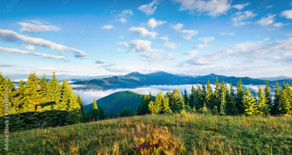 Deep blue sky above the foggy mountain hills. Bright summer view of Carpathian mountains. Picturesque outdoor scene of mountain valley, Ukraine, Tatariv village location, Europe.