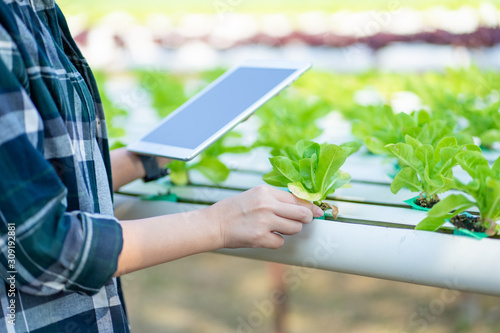 Portrait of young smart farmer using digital tablet computer for inspecting. using technology in agriculture field application in agricultural growing activity and checking quality concept. photo