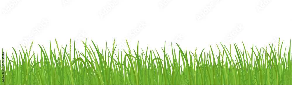 Grass lawn vector background. Green field borders. Design element, frame green grass. Grass lawn vector background. Green field borders. Design element, frame green grass.